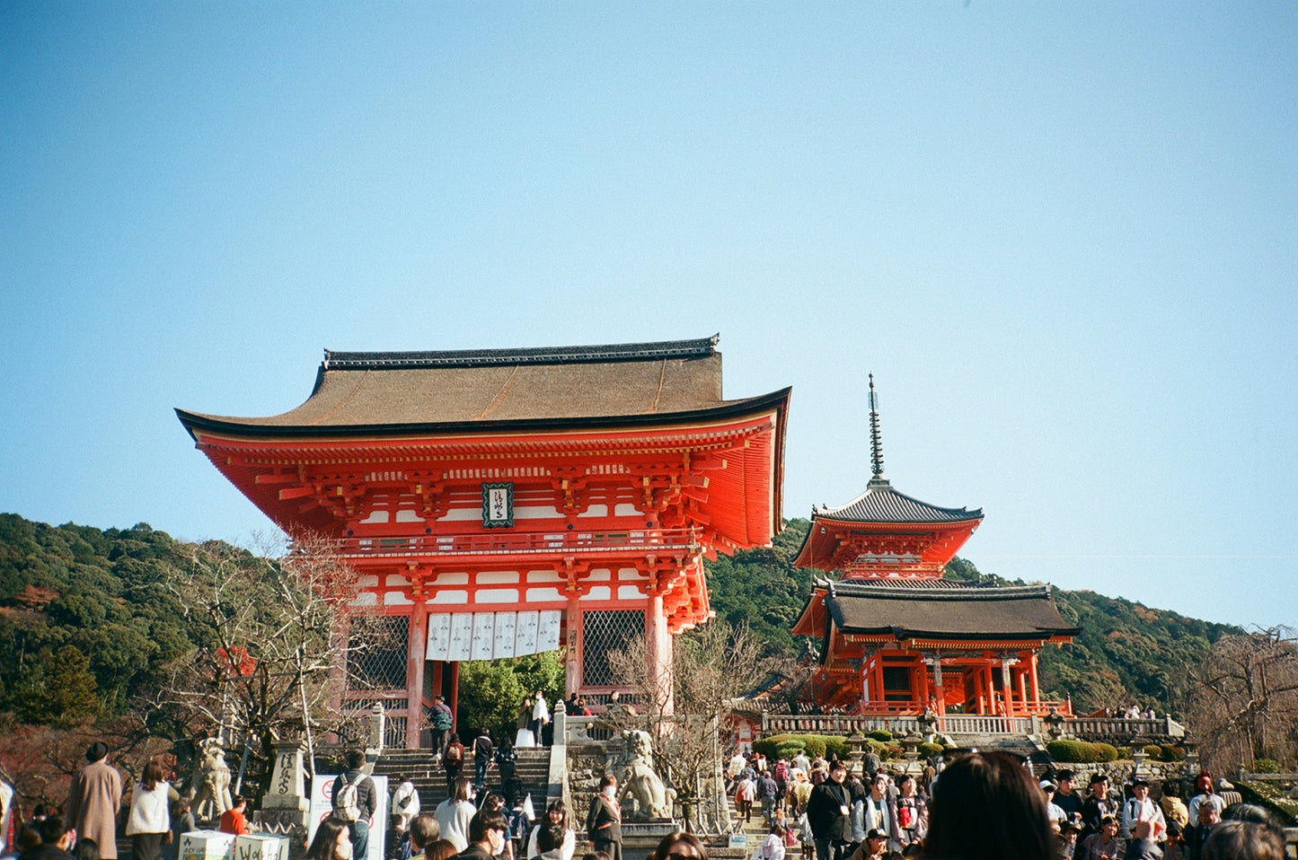 Kodak Professional Ektar 100 35mm Film