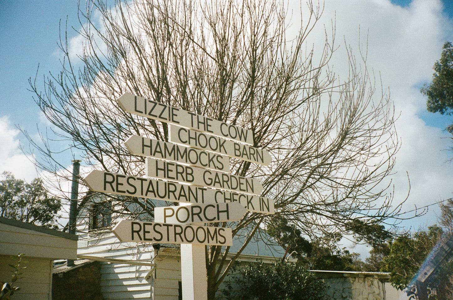 Kodak Professional Portra 400 35mm Film