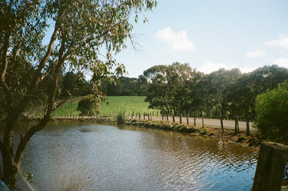 Kodak Professional Portra 400 35mm Film