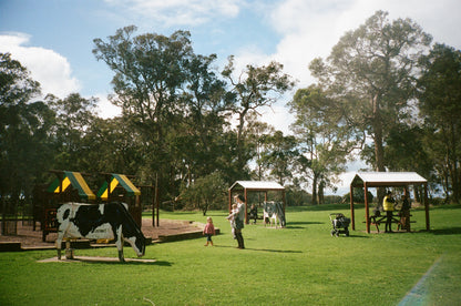 Kodak Professional Portra 400 35mm Film