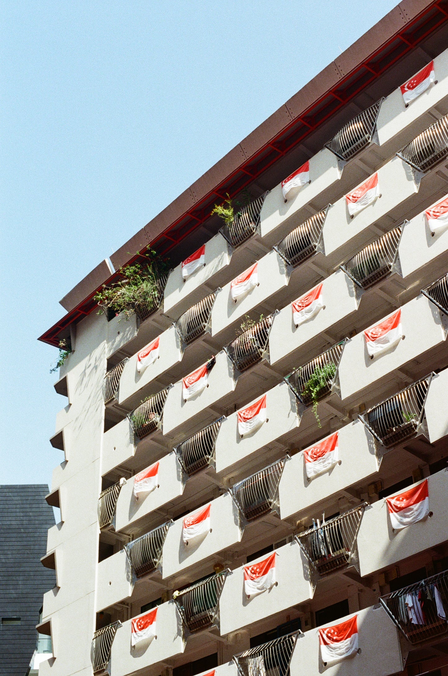 Fujifilm 400 35mm Film