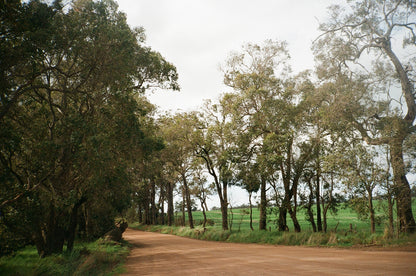 Kodak ColorPlus 200 35mm Film