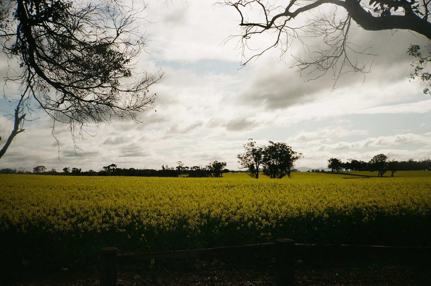 Kodak ColorPlus 200 35mm Film