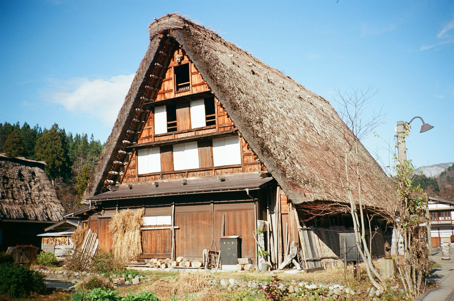 Kodak Professional Ektar 100 35mm Film