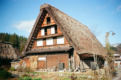 Kodak Professional Ektar 100 35mm Film