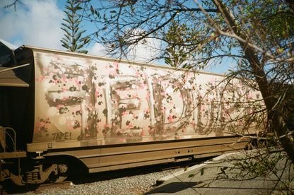 Kodak Gold 200 35mm Film
