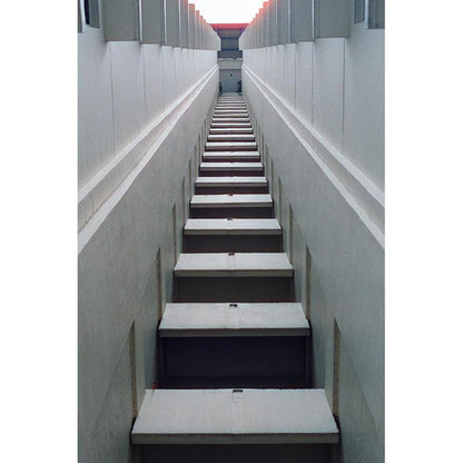 CN Tungsten 800T 35mm Film