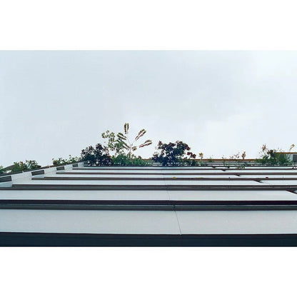 CN Tungsten 800T 35mm Film